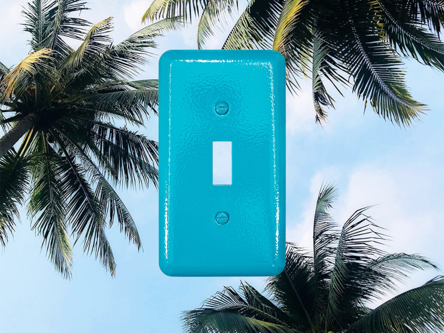 Turquoise River powder coated Toggle, Rocker, Duplex, and Blank round corner metal switch plates